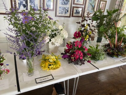 Summer show