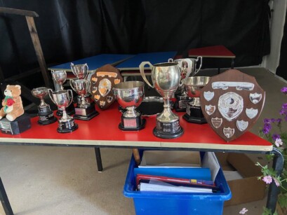 Summer show
