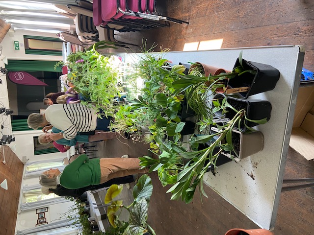 Plant Sale 24