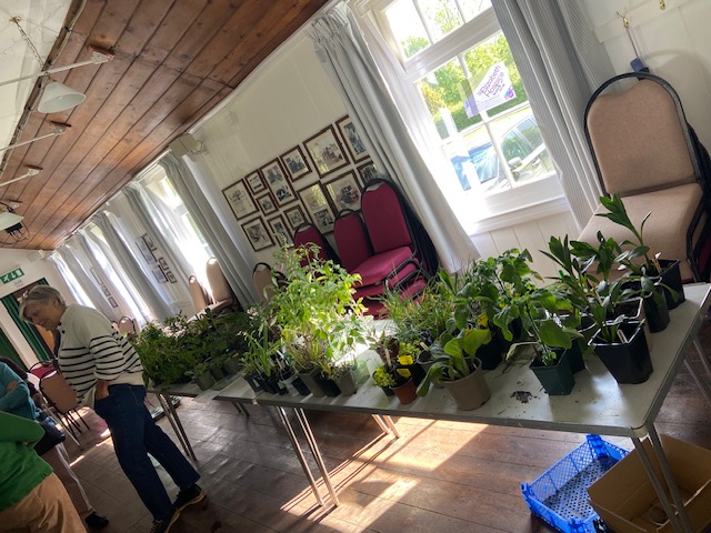 Plant Sale 24