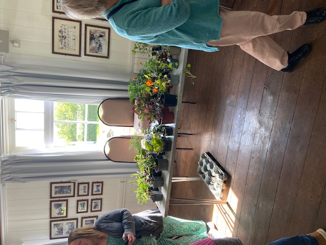 Plant Sale 24