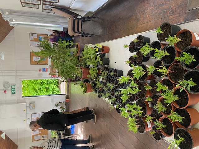 Plant Sale 24